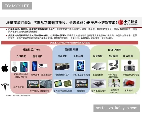 本季度区域性赛事版权价值凸显 本土化内容需求上升。