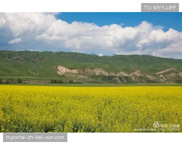 两黄变一红过程仅三分钟 拉唐情绪管理需加强